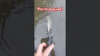 Рости родная!