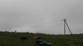 Щурка
