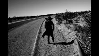 IN PRAISE OF JOSHUA TREE