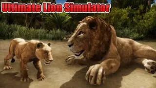 Lion VS  Elephant, leopard, Cheetah, Rhino, Hippo