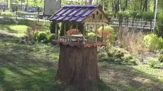 A bird feeder how to make a bird feeder. Original feeder for birds.