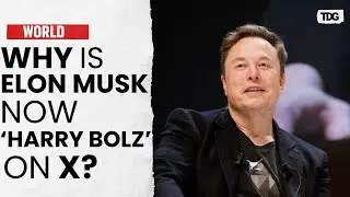 Elon Musk changes X name to Harry Bolz again | The Daily Guardian