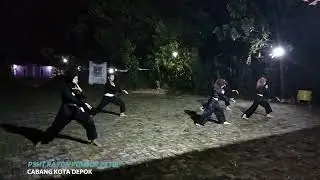 JURUS TUNGGAL PSHT