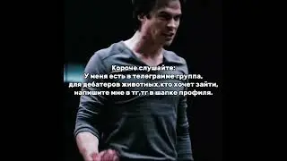 жду вас#животные #versus
