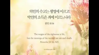 오늘의 '영어성경 사진'(512강) 잠언 10장 16절