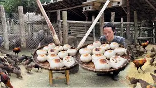 Zon makes cakes according to ancient recipes, vang hoa, king kong amazon
