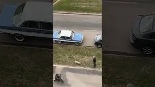 Выгулял старичка. Жутко привлекательная машина времени. 
