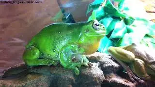 Jens has some Loud Jens News! Please listen carefully to the part about Jens!