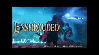 FELL WISPWYVERN BOSS FIGHT - ENSHROUDED GAMEPLAY PART 41