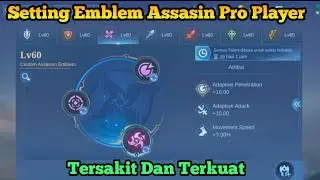 Tutorial on How to Set the Painful and Strongest Assassin Revamp Emblem 2023