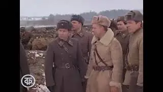 Уничтожено семь