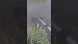 Весенняя рыбалка. 