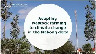 Adapting livestock farming to climate change in the Mekong delta
