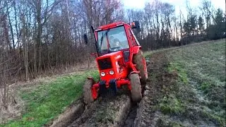 Uprawa i Siew Wtopa!! 2017 [MTZ-82 Zetor Massey Ferguson Farmtrack Fendt]