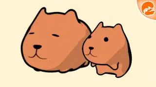 Capybara