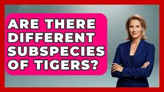 Are There Different Subspecies Of Tigers? - The Wild Life Explorer