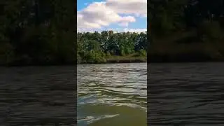 Вот время остановилось, пусть весь мир подождёт. #shorts #рыбалка #природа #carpfishing