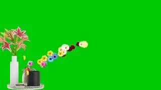 green screen effect video background 2022