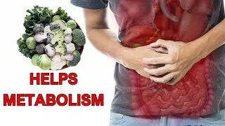 Ways to Help Our Body Metabolize Better