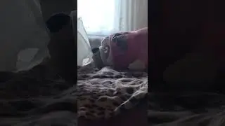 #memes#shorts#short#мем #игрушки#