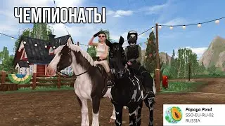 Субботняя беготня | Star Stable Online