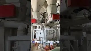 20-30тонн/час Линия по производству кормов для птицы Project-Herm Machinery 