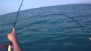 Sniper VS  Palamite.mov