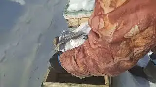 Второй точек пошел на облет!