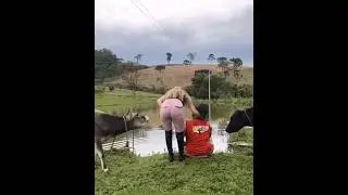 Бычок не удержался😁