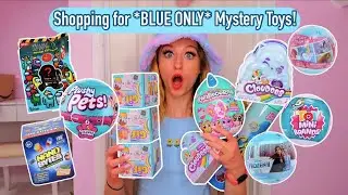 Shop with Me for *BLUE ONLY* Mystery Toys Challenge!!😱🦋🐬💙 (WE HIT THE JACKPOT!🤭)