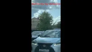 МИГРАНТЛАР ЯНА БИР ДОК ПОПСА