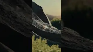 Система очистки воды BORK. Совершенство природной чистоты