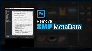 How to Remove Adobe XMP Metadata | Easy Techniques