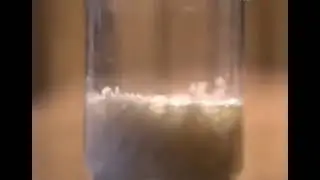 Влияние слов на растения. Эксперимент с рисом.   М Эмото