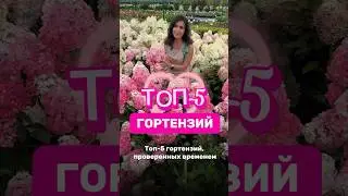 ДАРИМ ГАЙД ПО УХОДУ ЗА ТУЯМИ НА ГОД👉 ссылка в описании канала #садовыйцентр #сад #дача #длядачи
