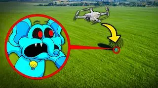 My Drone Atrapó a Bubba Bubbaphant y Catnap (Poppy Playtime 3)