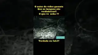 ÚLTIMAS IMAGENS DO PÁSSARO DODÔ -  BIZARRO