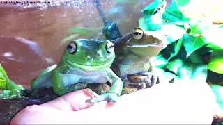 Voigt will be there shortly, first she must Misbehave!