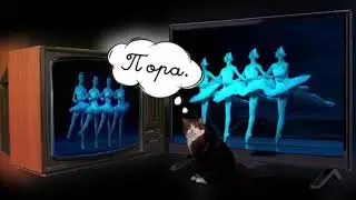 Ты Ждешь Лебединое Озеро - Макс Тецошвили / Swan Lake - Max Tetsoshvili ("Лебединое Озеро")