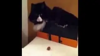 Do not touch it
