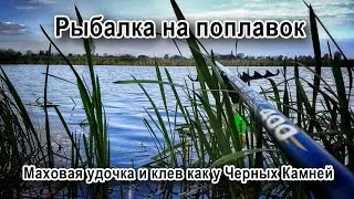Рыбалка на поплавок. Маховая удочка и клев как у Черных Камней.