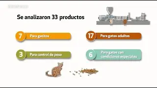 Croquetas para gatos | Estudio de Calidad | Profeco