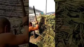 Excellent Cutting Skills 