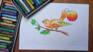 Easy Bird Drawing, Step By Step