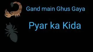Gand main Ghus gaya Pyar ka Kida song | BCS | Nonvej Song