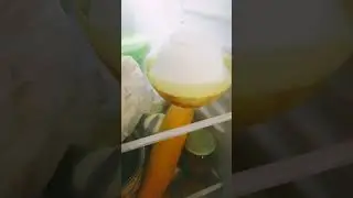 18+ жарю картофан. Салаты 10.09.2024