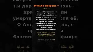 Дуа перед сном, которое учил Пророк ﷺ. 