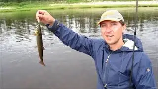 Якутия. Сплав по река Амга, Рыбалка, Тайга. ВЛОГ РЕТРОСПЕКТИВА Июль 2012