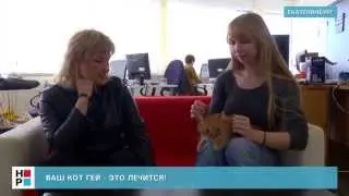 Ваш кот гей - это лечится!