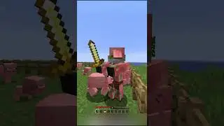 how did he think that was a good idea? 